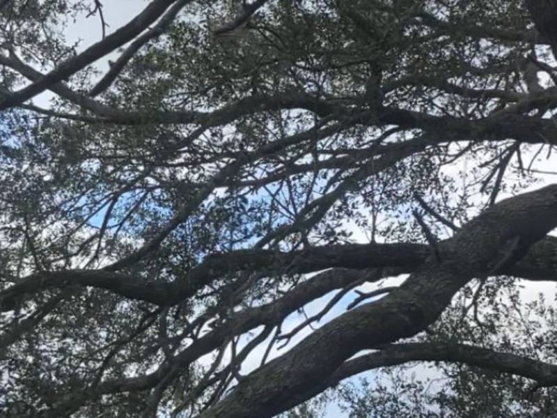 The Internet is Changing and So Are&nbsp;We