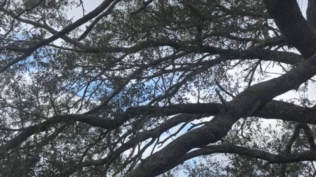 The Internet is Changing and So Are&nbsp;We