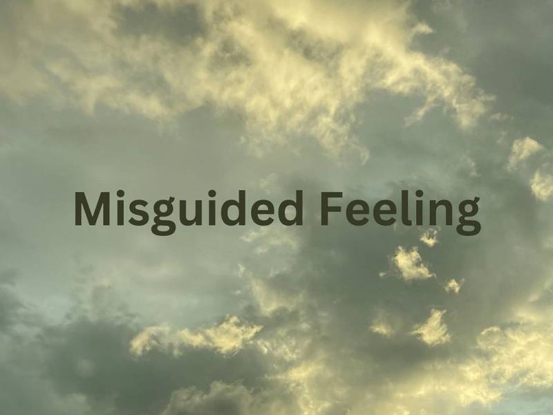 Misguided Feeling