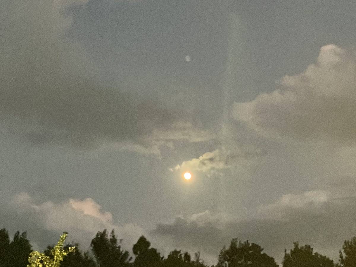 I am Only Trying To Be A&nbsp;Friend