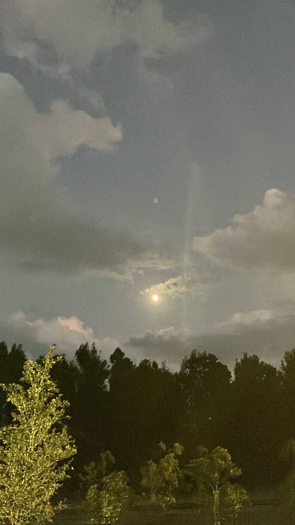 I am Only Trying To Be A Friend