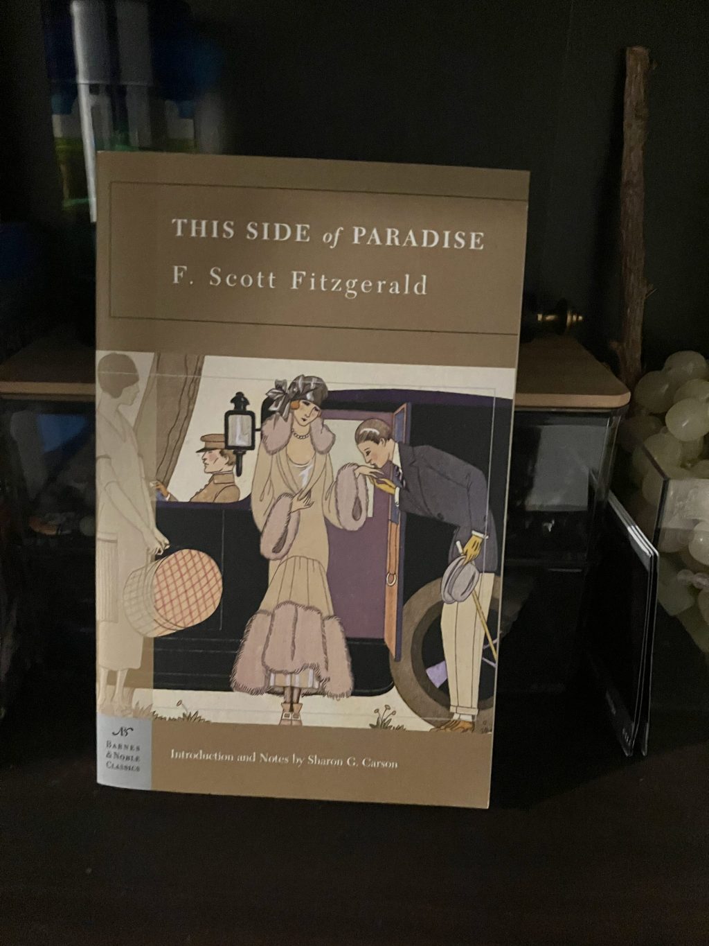 A Different Meaning To This Side Of&nbsp;Paradise